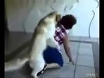 Geiler HUND - YouTube